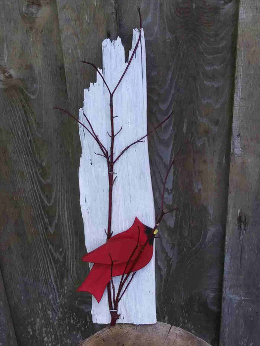 Cardinal collection C12111