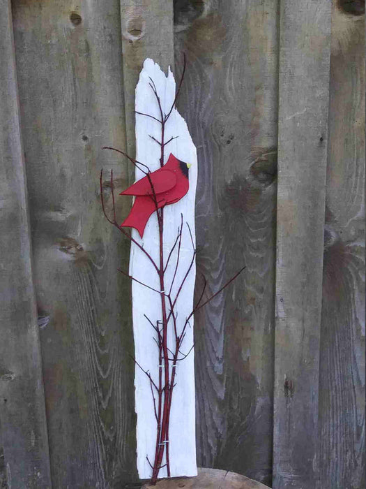 Cardinal collection C12112