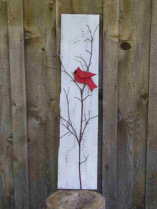 Cardinal collection C12117