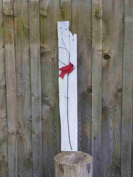 Cardinal collection C12120